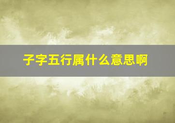 子字五行属什么意思啊