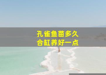 孔雀鱼苗多久合缸养好一点