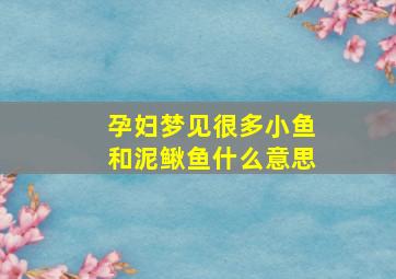 孕妇梦见很多小鱼和泥鳅鱼什么意思