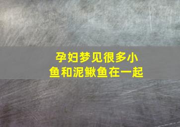 孕妇梦见很多小鱼和泥鳅鱼在一起