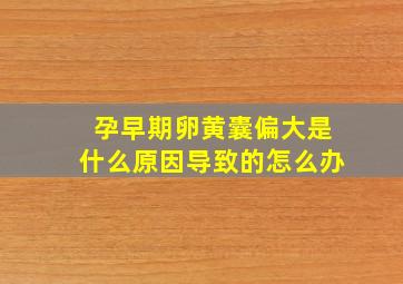 孕早期卵黄囊偏大是什么原因导致的怎么办