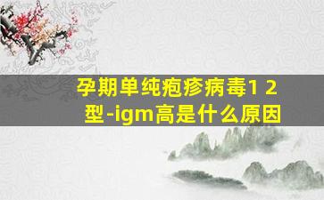 孕期单纯疱疹病毒1+2型-igm高是什么原因