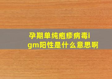 孕期单纯疱疹病毒igm阳性是什么意思啊