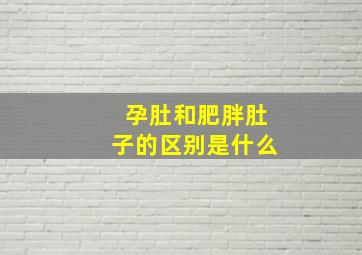 孕肚和肥胖肚子的区别是什么