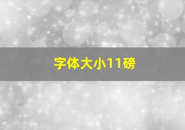 字体大小11磅