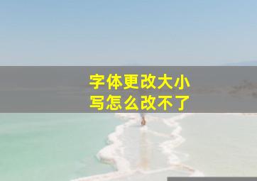 字体更改大小写怎么改不了