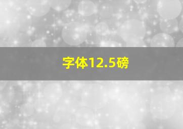 字体12.5磅