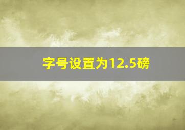 字号设置为12.5磅