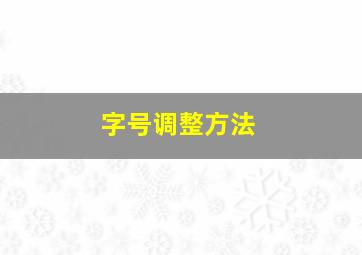 字号调整方法