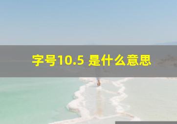 字号10.5+是什么意思