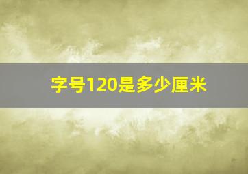 字号120是多少厘米