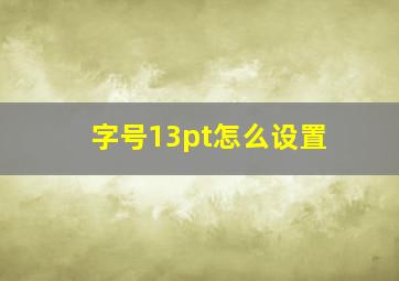 字号13pt怎么设置