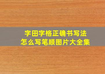 字田字格正确书写法怎么写笔顺图片大全集