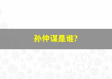 孙仲谋是谁?