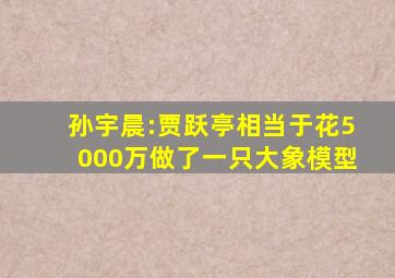 孙宇晨:贾跃亭相当于花5000万做了一只大象模型