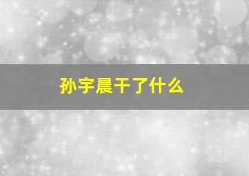 孙宇晨干了什么