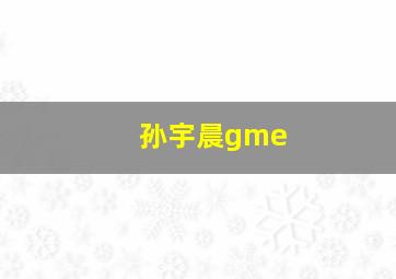 孙宇晨gme