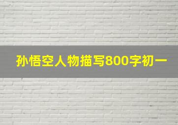 孙悟空人物描写800字初一