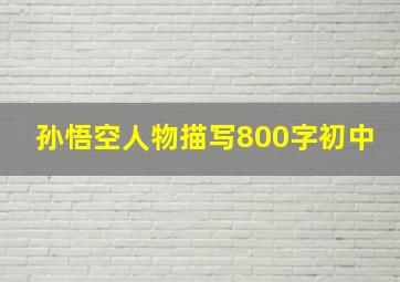 孙悟空人物描写800字初中