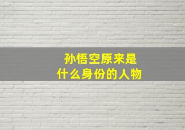 孙悟空原来是什么身份的人物