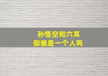 孙悟空和六耳猕猴是一个人吗