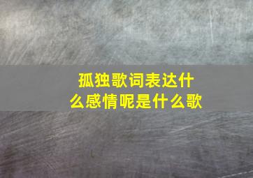 孤独歌词表达什么感情呢是什么歌