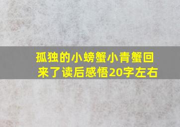 孤独的小螃蟹小青蟹回来了读后感悟20字左右