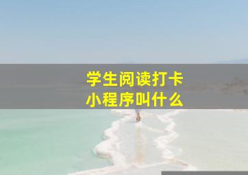 学生阅读打卡小程序叫什么