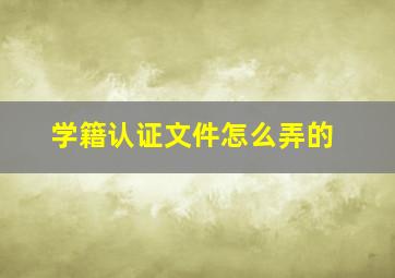 学籍认证文件怎么弄的