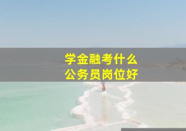 学金融考什么公务员岗位好