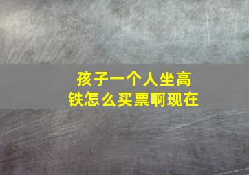 孩子一个人坐高铁怎么买票啊现在