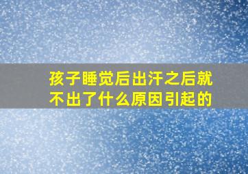 孩子睡觉后出汗之后就不出了什么原因引起的