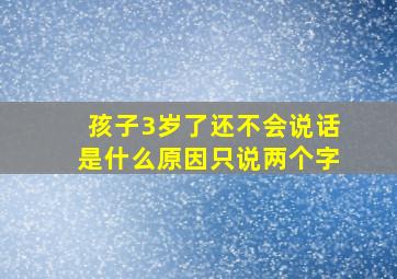 孩子3岁了还不会说话是什么原因只说两个字