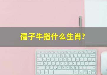 孺子牛指什么生肖?