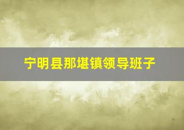 宁明县那堪镇领导班子