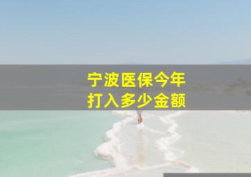 宁波医保今年打入多少金额