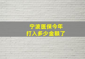 宁波医保今年打入多少金额了