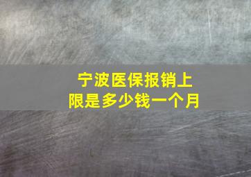 宁波医保报销上限是多少钱一个月