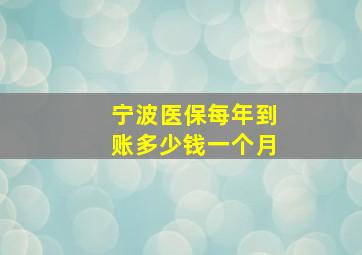 宁波医保每年到账多少钱一个月