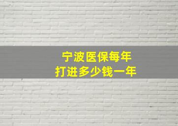 宁波医保每年打进多少钱一年