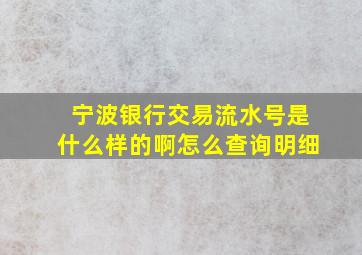 宁波银行交易流水号是什么样的啊怎么查询明细