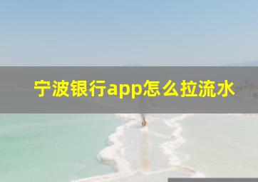 宁波银行app怎么拉流水