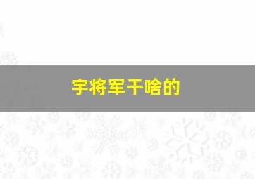 宇将军干啥的