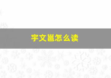 宇文邕怎么读