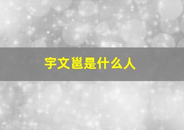 宇文邕是什么人