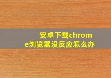 安卓下载chrome浏览器没反应怎么办