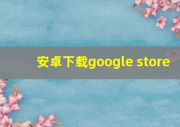 安卓下载google store