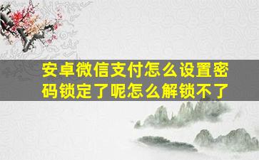 安卓微信支付怎么设置密码锁定了呢怎么解锁不了