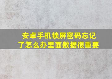 安卓手机锁屏密码忘记了怎么办里面数据很重要