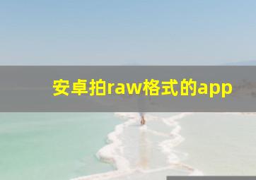 安卓拍raw格式的app